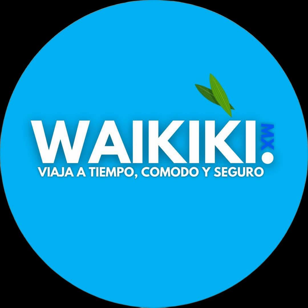 Waikiki Tours